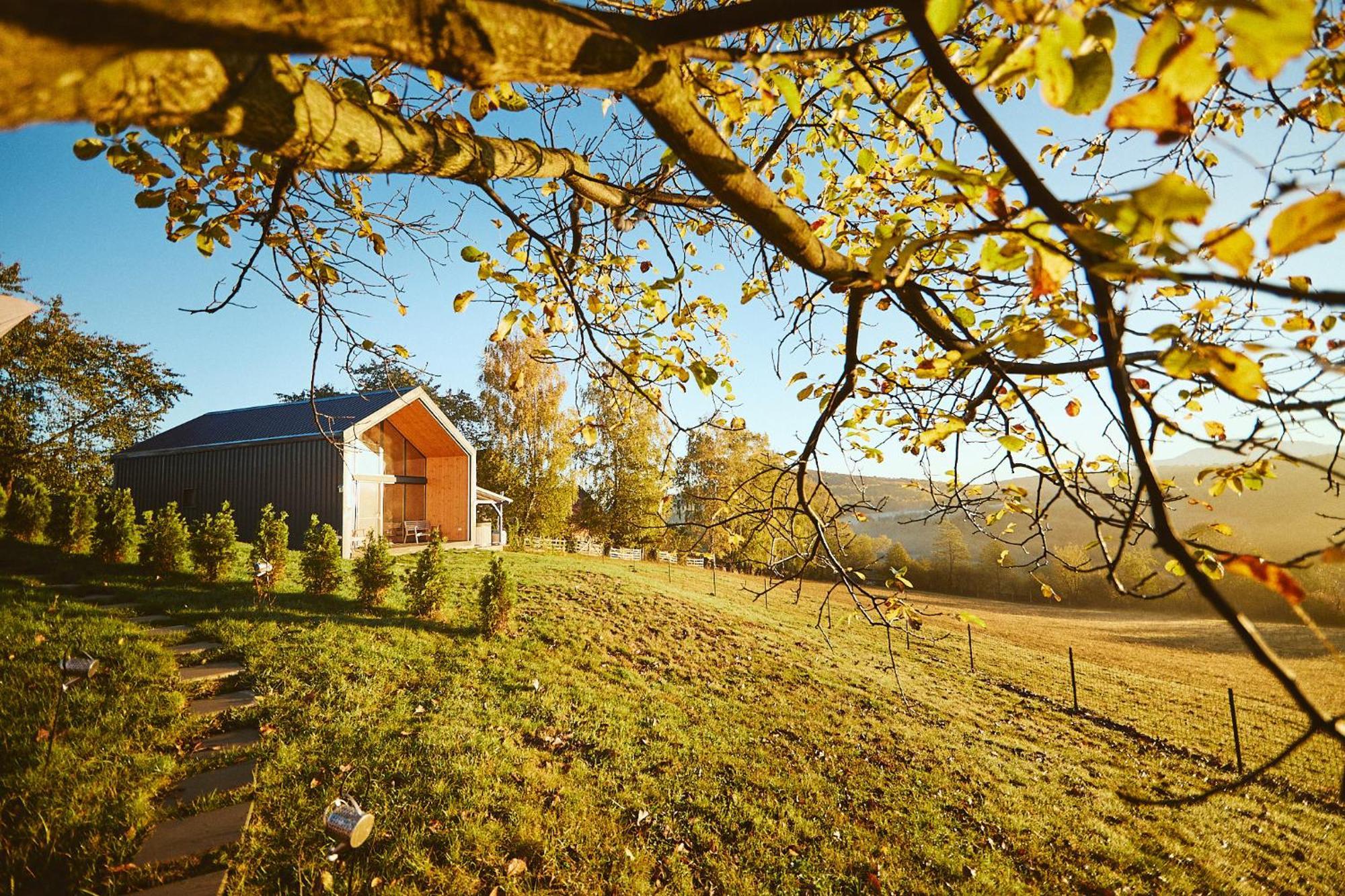 Scandinave Chalet Bran Zarnesti Exterior photo